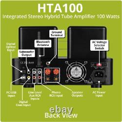 100W Integrated Tube Amplifier with RCA, USB, and Phono Inputs Modern Classic