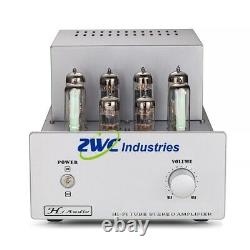 13W2 6P14/EL84 Push-pull HiFi Class Stereo Tube Integrated Amplifier KIT #F