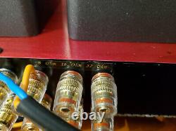 2022 PROTOTYPE Edelweiss-3 Power Amp Plus vacuum tube integrated amp, MAKE OFFER