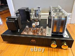 ANK Kit1-15 300B Integrated Amplifier Vcap CuTF, Audio Note, NOS Tubes