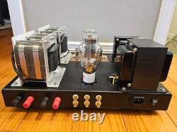 ANK Kit1-15 300B Integrated Amplifier Vcap CuTF, Audio Note, NOS Tubes