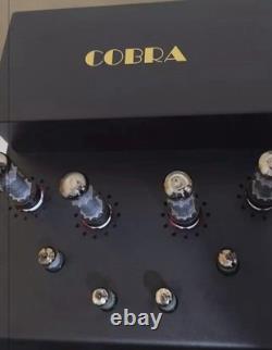Audio Audionote Cobra Integrated Amplifier/ Dac