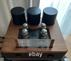 Auris Audio Fortino 6550 tube amplifier with remote, Tung-sol tubes