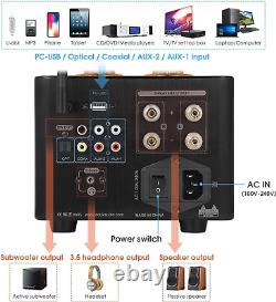 B100 Bluetooth 5.0 Tube Amplifier USB DAC Coax/Opt Integrated Power Amp