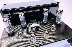 Black Ice Audio F22 Tube Audiophile Integrated High end demo Amp withwarranty EL34