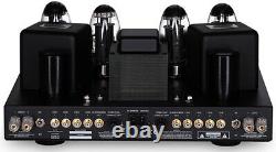 Cary Audio SLI-100 Integrated Tube Audiophile Amplifier Silver warranty