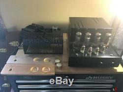 Cayin TA 30 Integrated Amplifier (A tube rollers fantasy amp)