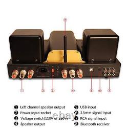 Dared I30BT Vacuum Tube Integrated Amplifier, Bluetooth, USB DAC Input, LINE