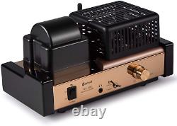 Dared MP-5BT a Stereo Vacuum Tube Integrated Amplifier, Hybrid Amplifier, Connect