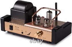 Dared MP-5BT a Stereo Vacuum Tube Integrated Amplifier, Hybrid Amplifier, Connect