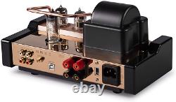 Dared MP-5BT a Stereo Vacuum Tube Integrated Amplifier, Hybrid Amplifier, Connect