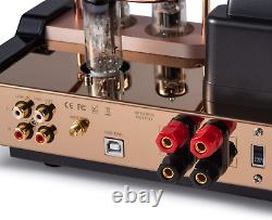 Dared MP-5BT a Stereo Vacuum Tube Integrated Amplifier, Hybrid Amplifier, Connect