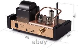 Dared MP-5BT a Stereo Vacuum Tube Integrated Amplifier, Hybrid Amplifier, Connect