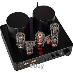 Dayton Audio HTA200 Integrated Stereo Hybrid Hi-Fi Vacuum Tube Class A/B Ampl