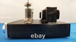 FX-AUDIO TUBE-P01J Vacuum Tube Amplifier With Accessories included
