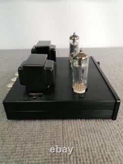FX-AUDIO TUBE-P01J Vacuum Tube Integrated Amplifier Pre-Main Amp F/S From Japan