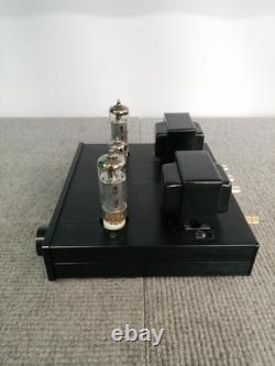 FX-AUDIO TUBE-P01J Vacuum Tube Integrated Amplifier Pre-Main Amp F/S From Japan