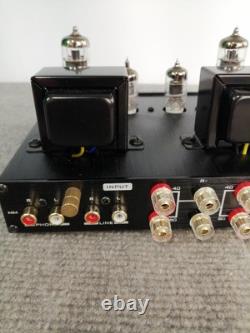 FX-AUDIO TUBE-P01J Vacuum Tube Integrated Amplifier Pre-Main Amp F/S From Japan