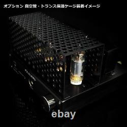 Fx-Audio Tube-P01J Black Vacuum Tube Integrated Amplifier 3.74 Pound