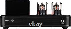 HTA20 Integrated Stereo Hybrid Hi-Fi Vacuum Tube Amplifier 20W Class A/B