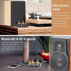 HiFi Stereo Bluetooth 5.0 Tube Amplifier MM Phono Amp 320W Power