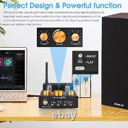 HiFi Stereo Bluetooth 5.0 Vacuum Tube Amplifier MM Phono Amp for Turntables 320W