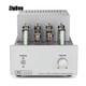 Hi Audio Hi-fi Tube Stereo Amplifier Tube Integrated Amplifier Diy Kit