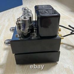 Houston Mini-2004 Vacuum Tube Integrated Ampli? Er Working