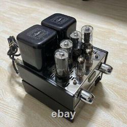 Houston Mini-2004 Vacuum Tube Integrated Ampli? Er Working