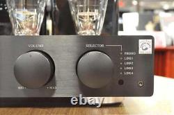 Integrated amplifier (tube spherical type) TRZ 300W with WE300B TRI