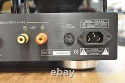 Integrated amplifier (tube spherical type) TRZ 300W with WE300B TRI