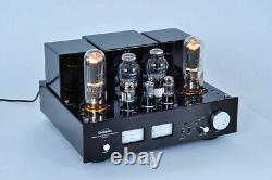 Line Magnetic LM-508IA Integrated Power Amplifier 300B Push 805 Tube Class A 48W