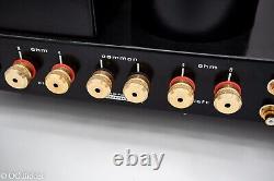 MasterSound DueVenti S. E 220 Single-ended Triode Class-A Hand Made in Italy