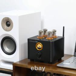 Nobsound B100 Hifi Bluetooth 5.0 Valve Tube Amplifier Optical/Coaxial Integrated