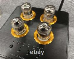 Nobsound B100 Integrated Amplifier Tube Type