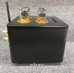 Nobsound B100 Integrated Amplifier Tube Type