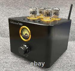 Nobsound B100 Integrated Amplifier Tube Type