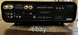 Peachtree Audio iDecco Class A Tube Amplifier, DAC, iPod dock