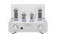Pearl Triode Vacuum Tube Integrated Amplifier 6bq5 100 Volts Audio Equipment