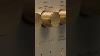Riviera Audio Labs Apl01se Reference Tube Line Preamplifier