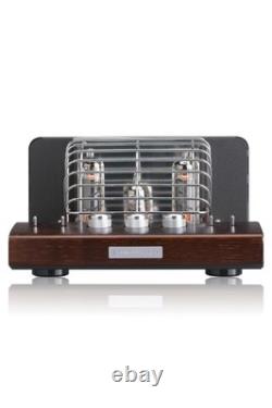 SOUNDWARRIOR Japan made vacuum tube amplifier headphone amplifier analog au 21