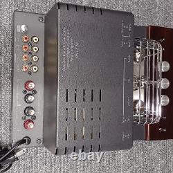 Sound Warrior Swl-T20 Integrated Amplifier Tube Type