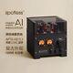 Spotless A1 2100w Class Ab Integrated Tube Amplifier Usa 110v Power Supply