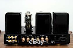 TNS M2+ 2A3 Hi End SE tube amplifier good sound