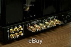 TNS M2+ 2A3 Hi End SE tube amplifier good sound