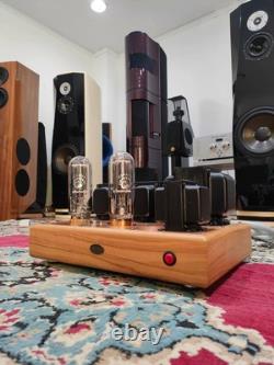 Tektron Tk-one 211p Tube Power Amp Or Integrated Amplifier (us)