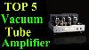 Top 5 Best Vacuum Tube Amplifier In 2020 Vacuum Tube Amp
