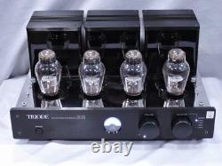 Triode Tube Integrated Amplifier TRZ-300W-WE300B