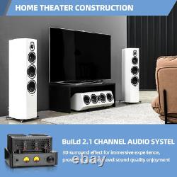 Tube Amplifier, Stereo Vacuum Tube Class A/B Amplifier, Integrated Amplifier with