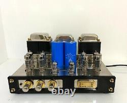 Tube Technology Unisys stereo valve amplifier MM phono stage serviced 2021